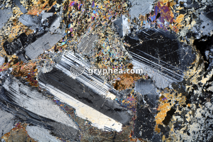 Métagabbro à Hornblende LPA x3,5 - gryphea.com